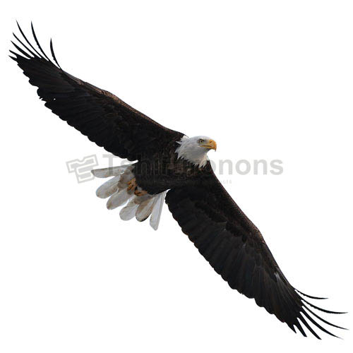 Eagle T-shirts Iron On Transfers N5503 - Click Image to Close